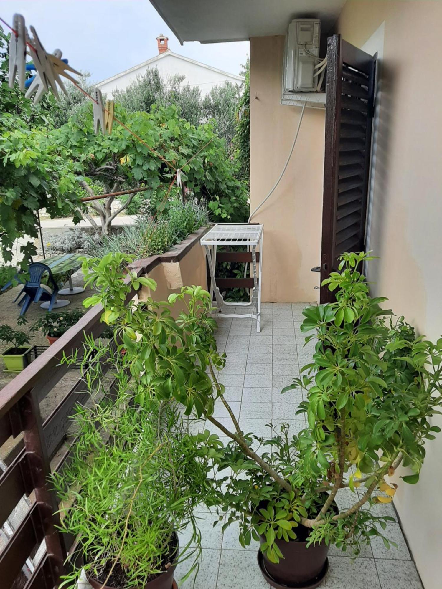 Apartmani Marija Povljana Zimmer foto