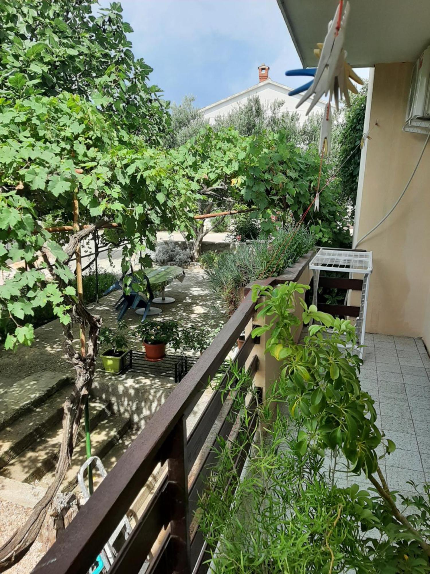 Apartmani Marija Povljana Zimmer foto