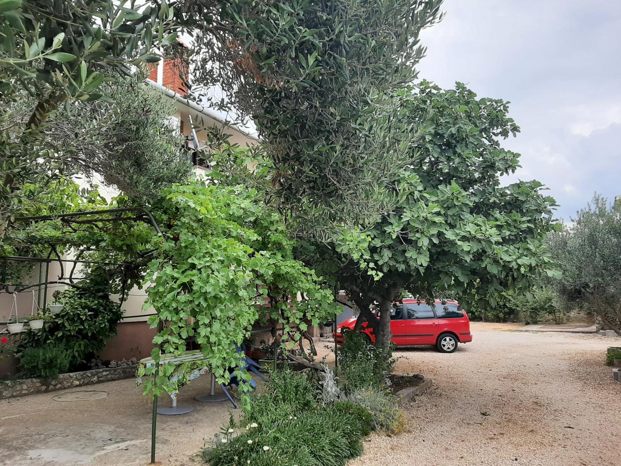 Apartmani Marija Povljana Zimmer foto