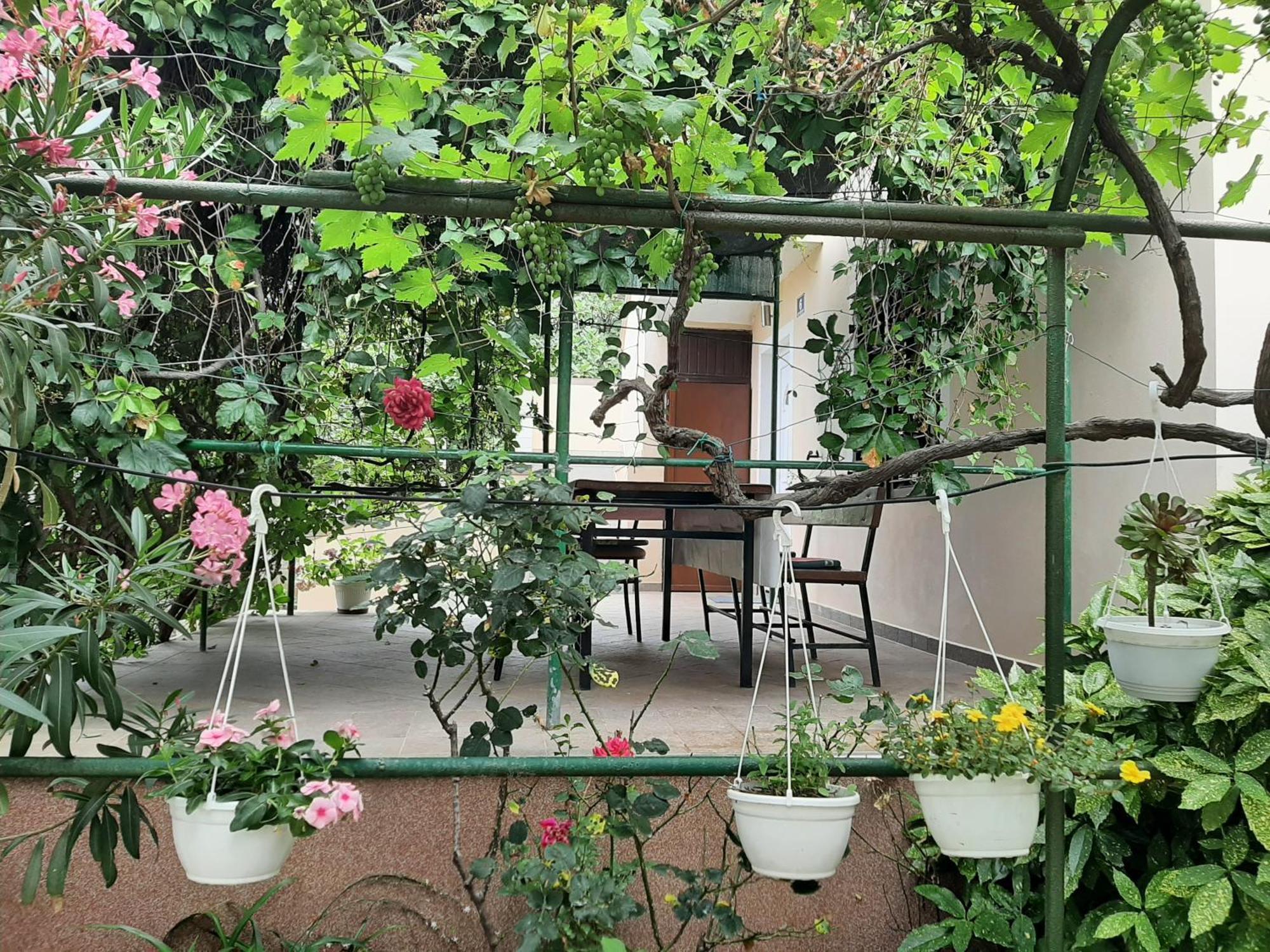 Apartmani Marija Povljana Zimmer foto